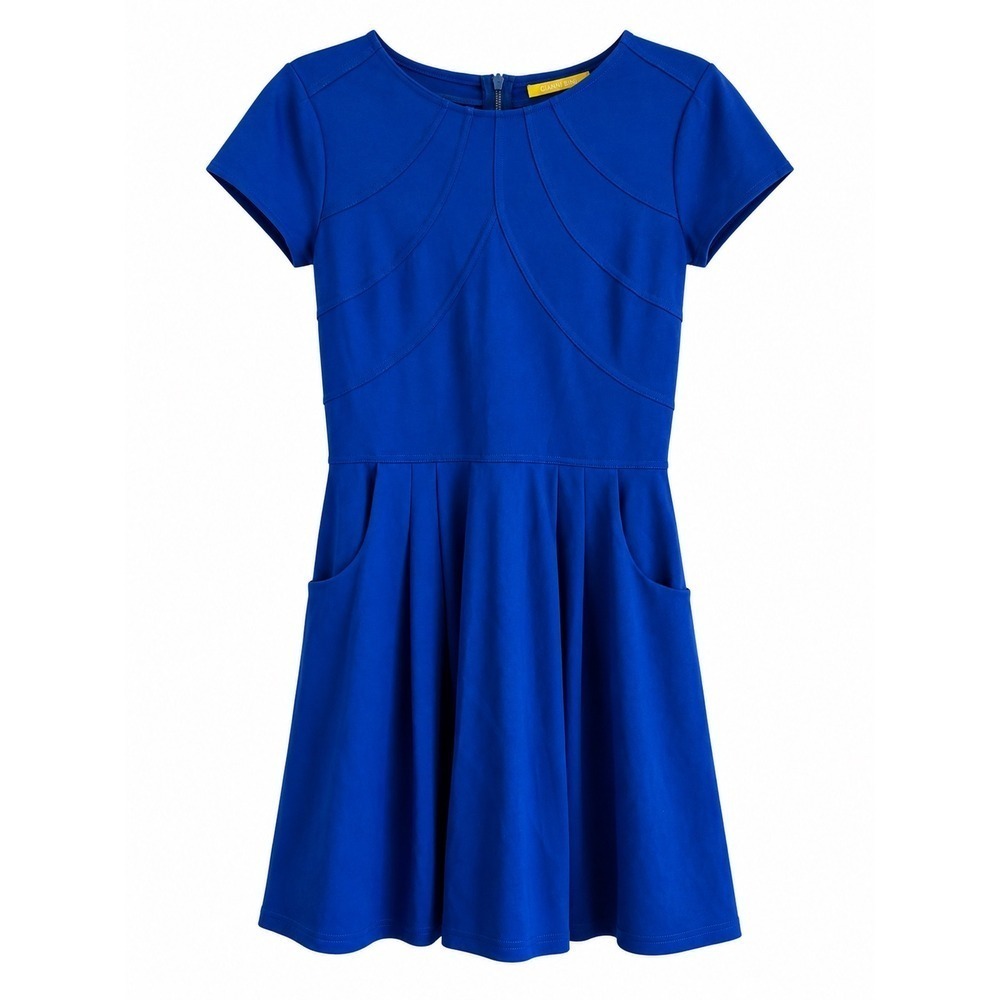 Gianni Bini Royal Blue Fit Flare Work Dress Small Pockets Corporate Chic Career